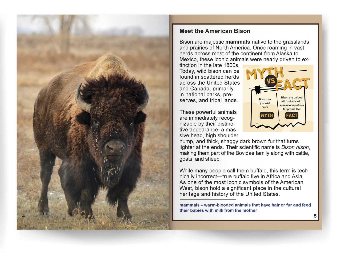 Bison: Fascinating Animal Facts (This Incredible Planet)