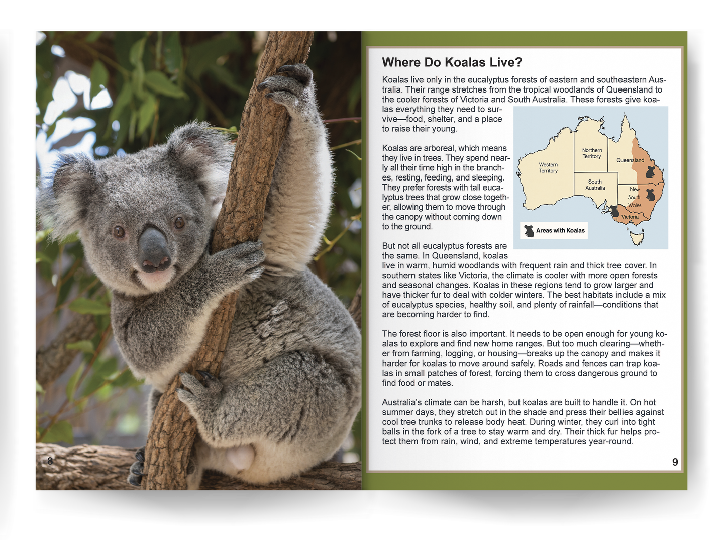 Koala: Fascinating Animal Facts for Kids (This Incredible Planet)