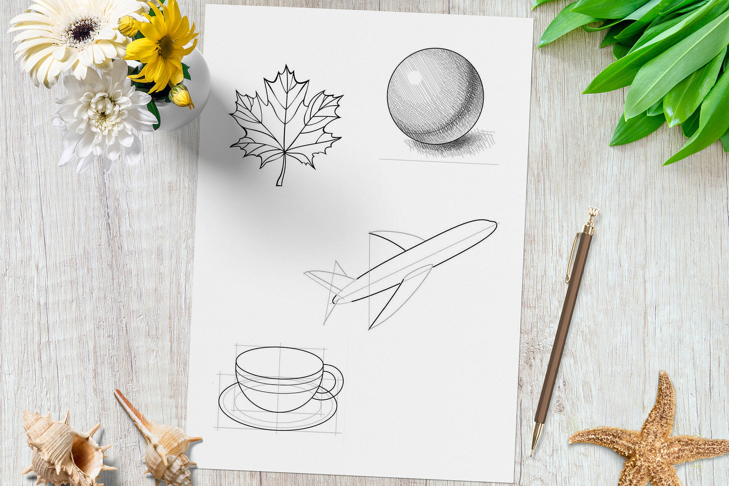 How to Draw: 53 Step-by-Step Drawing Projects