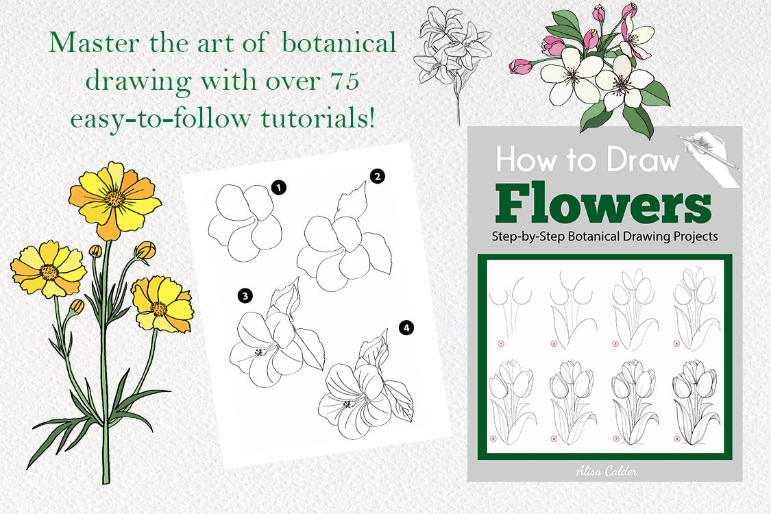 Amazing Flowers And How to Draw them: Step By Step Botanical Drawing Book  For Kids And Adults With Easy Instructions For Beginners (How To Draw For