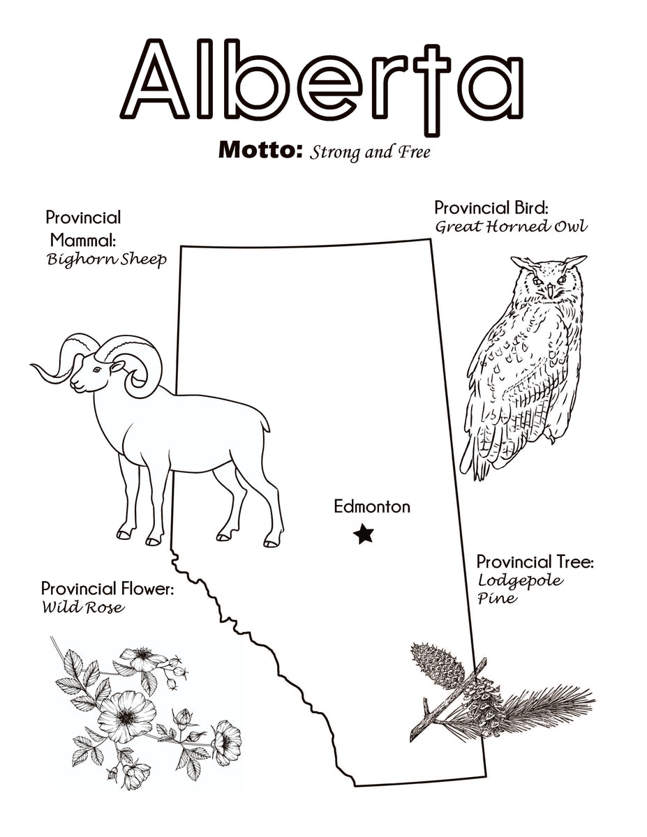 Canada Activity and Fact Book: Canadian Geography Workbook for Kids ...