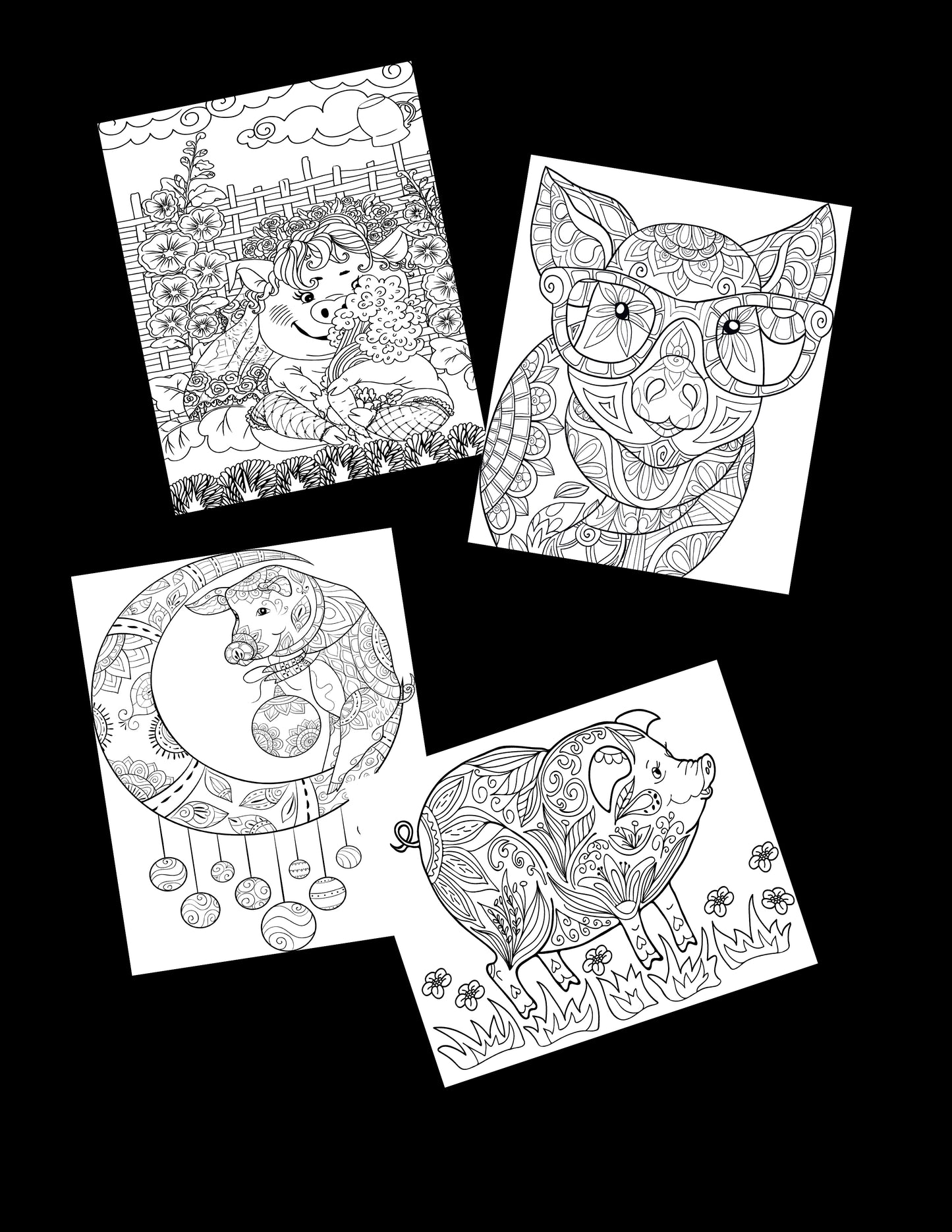 Pig Coloring Book for Adults