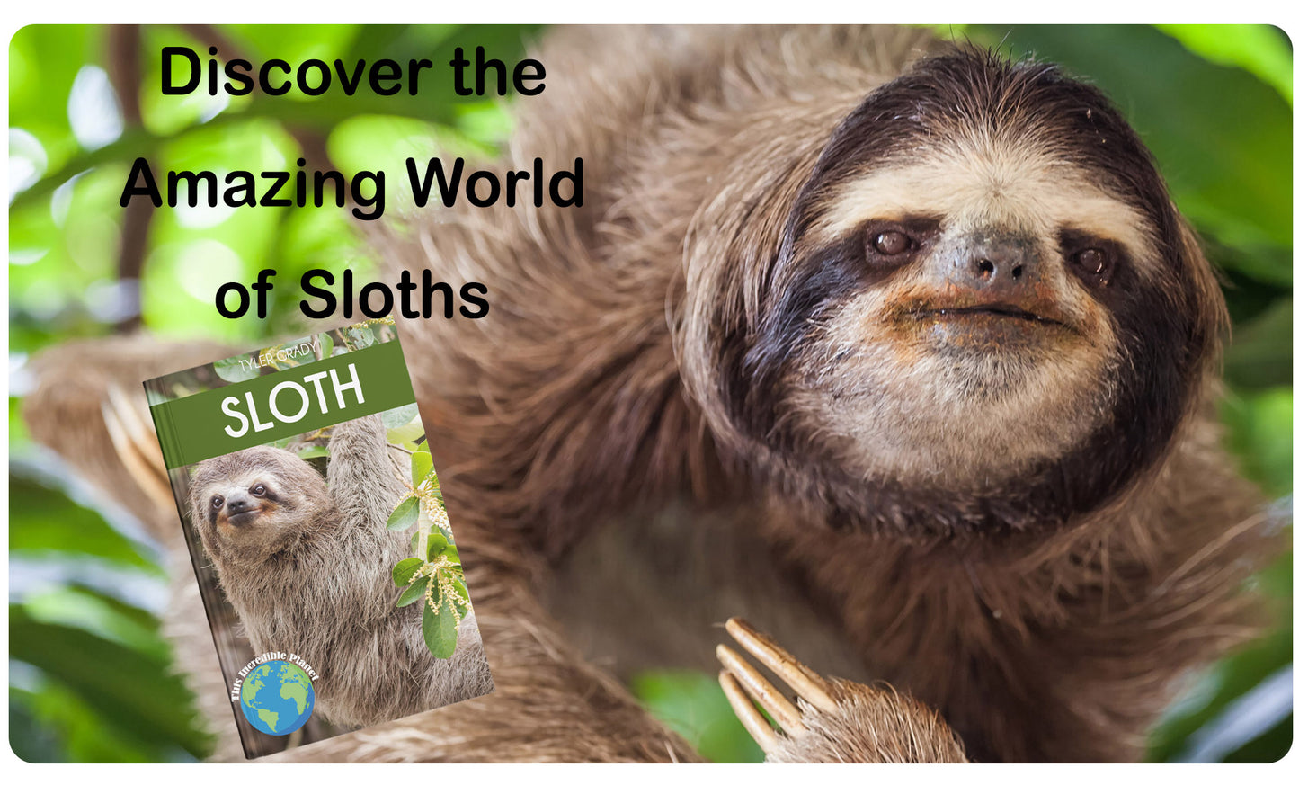 Sloth: Fascinating Animal Facts for Kids (This Incredible Planet)