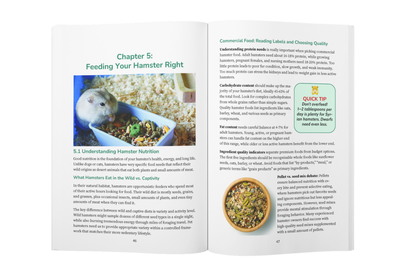 Hamster Care for Beginners