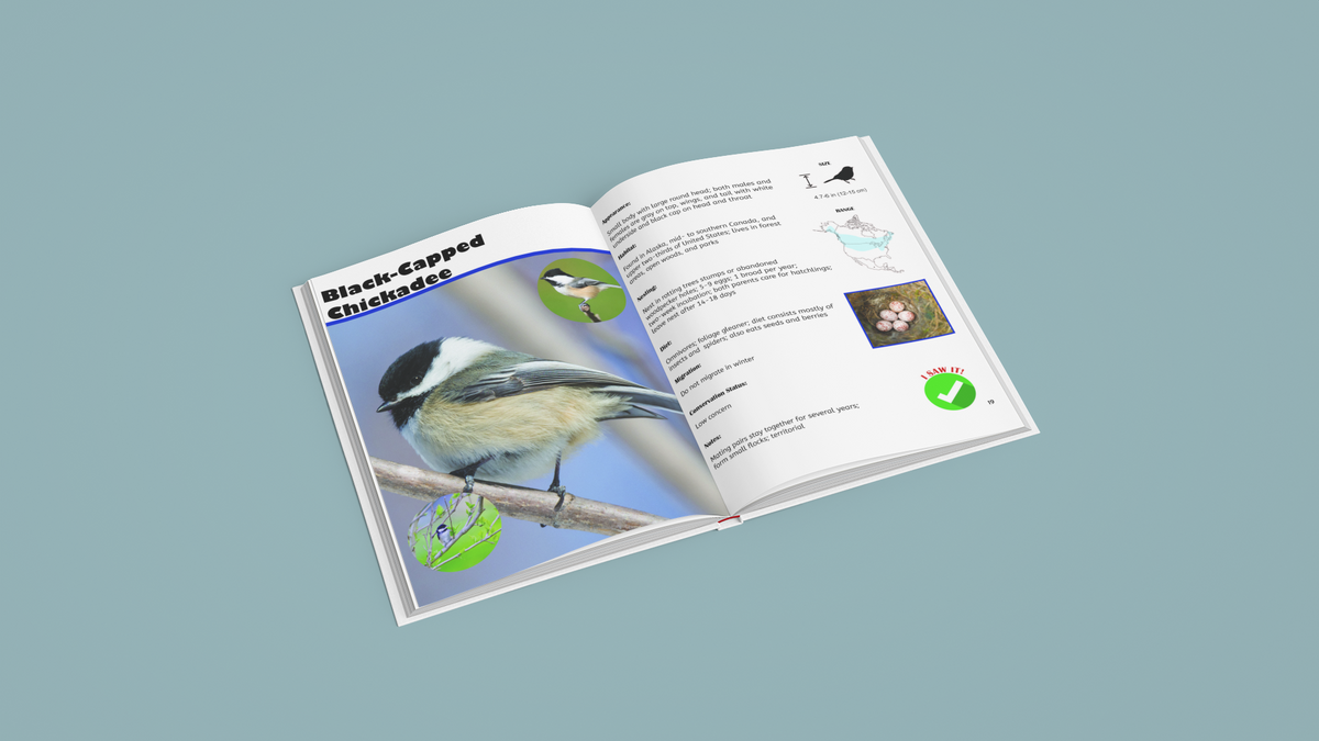 bird watching book for kids australia