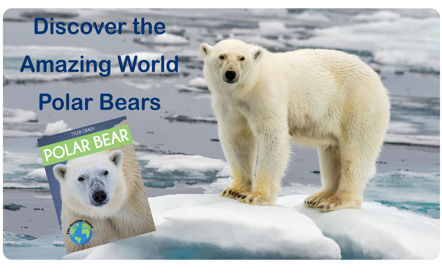 Polar Bear: Fascinating Animal Facts for Kids (This Incredible Planet)