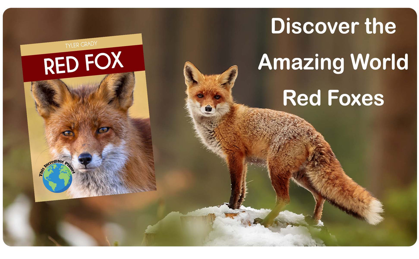 Red Fox: Fascinating Animal Facts for Kids (This Incredible Planet)