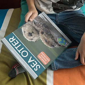 Sea Otter: Amazing Facts About Ocean’s Cleverest Mammals for Kids