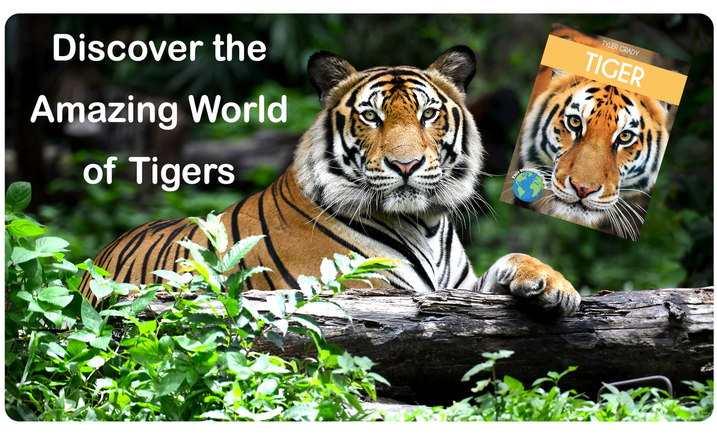 Tiger: Fascinating Animal Facts for Kids (This Incredible Planet)