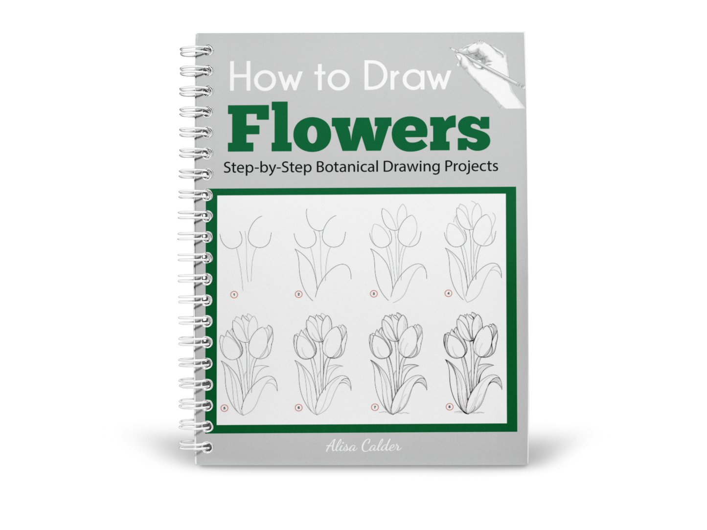 How to Draw Flowers: Step-by-Step Botanical Drawing Projects