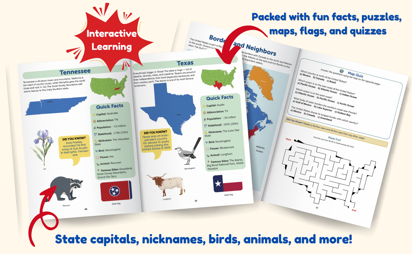 The United States Geography Activity Book: Colorful Maps, Puzzles, Quizzes, Fun Facts