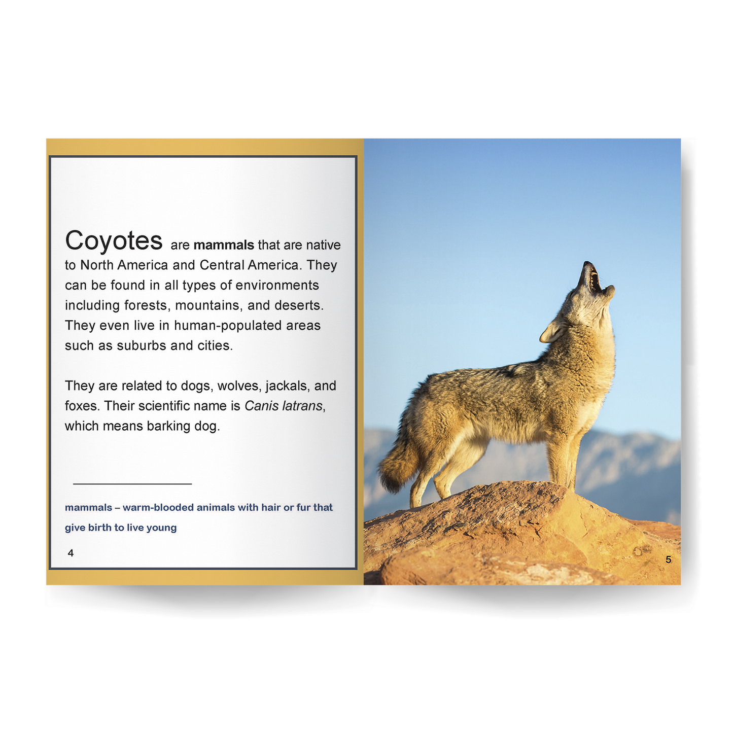 Coyote: Fascinating Animal Facts for Kids (This Incredible Planet)