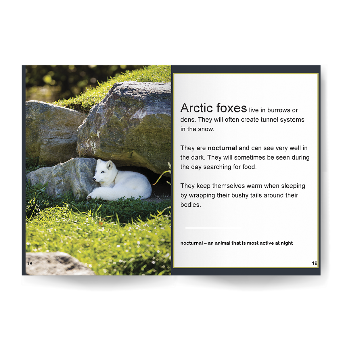 Arctic Fox: Fascinating Animal Facts for Kids (This Incredible Planet)