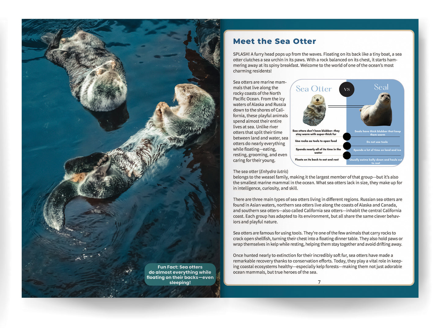 Sea Otter: Amazing Facts About Ocean’s Cleverest Mammals for Kids
