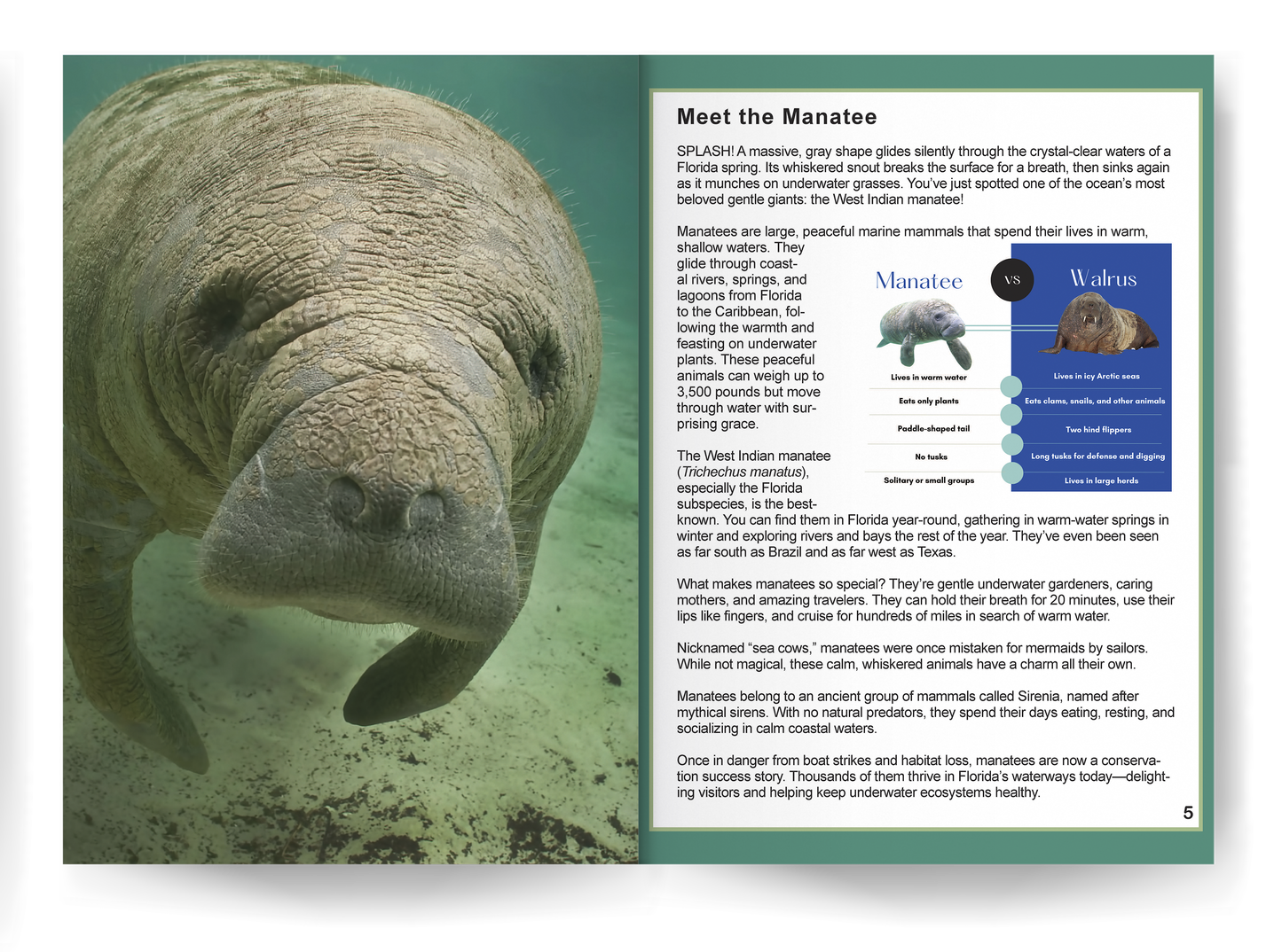 Manatee: Amazing Facts About Nature's Gentle Giants for Kids (This Incredible Planet)