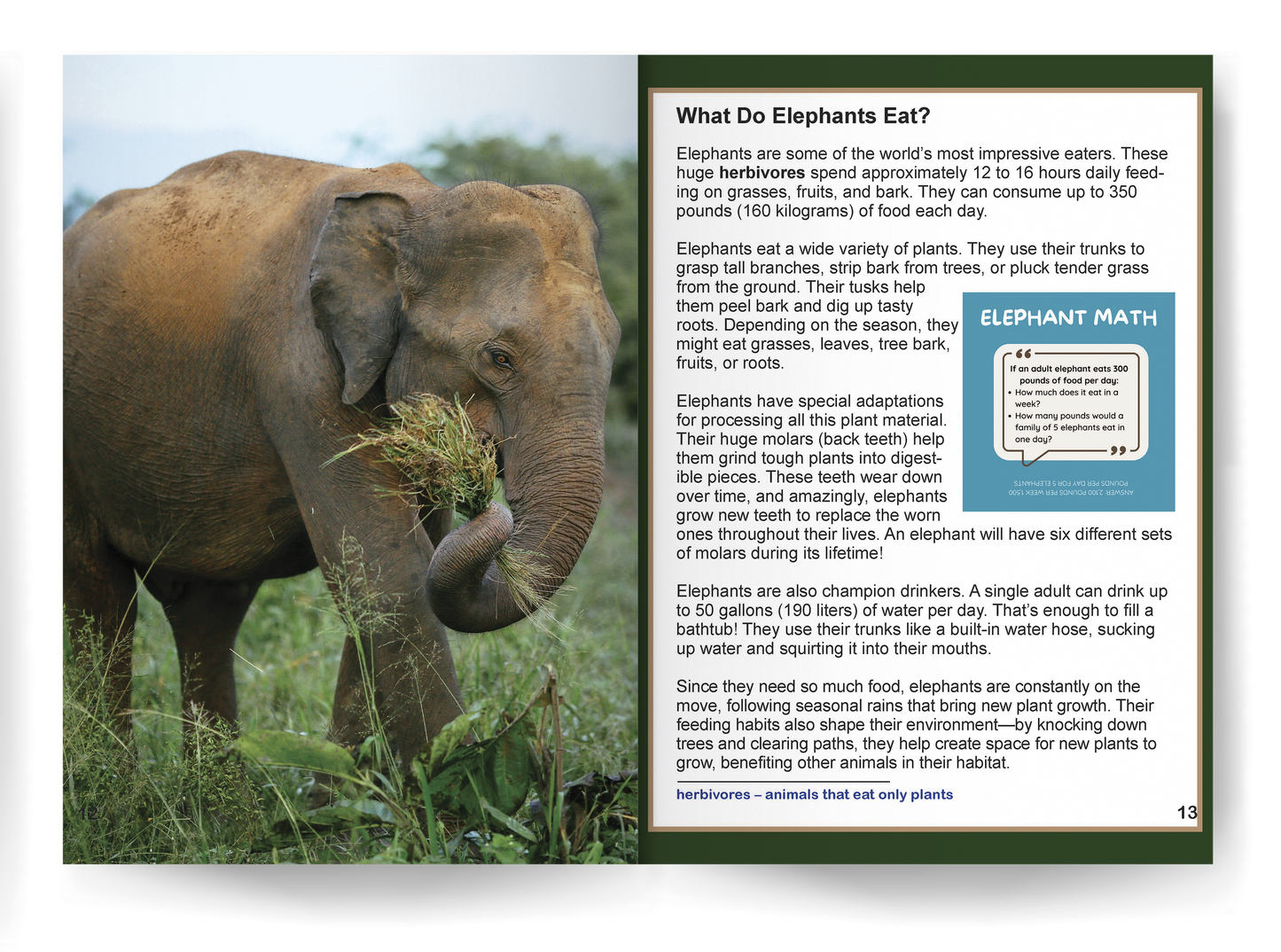 Elephant: Fascinating Animal Facts for Kids (This Incredible Planet)