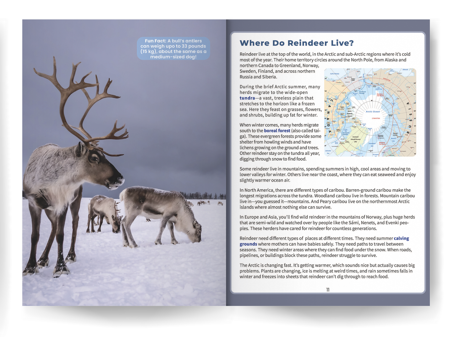 Reindeer: Amazing Facts About Nature’s Arctic Travelers for Kids (This Incredible Planet)