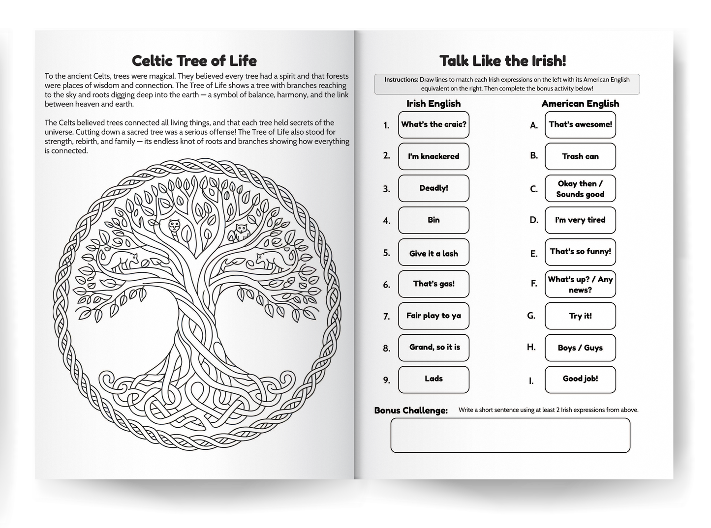 Ireland Geography Activity Book for Kids