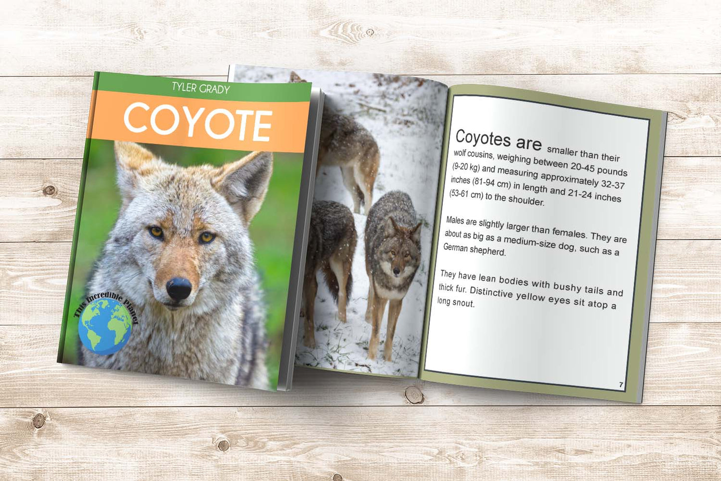 Coyote: Fascinating Animal Facts for Kids (This Incredible Planet)