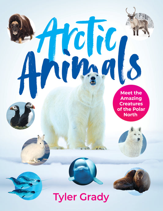 Arctic Animals