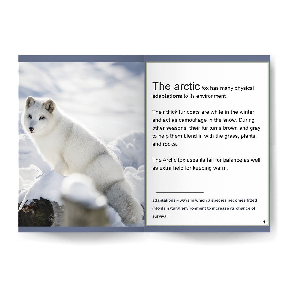 Arctic Fox: Fascinating Animal Facts for Kids (This Incredible Planet)