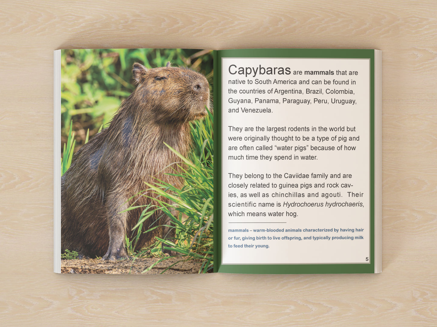 Capybara: Fascinating Animal Facts for Kids (This Incredible Planet)