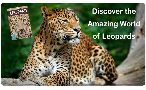 Leopard: Fascinating Animal Facts for Kids (This Incredible Planet)