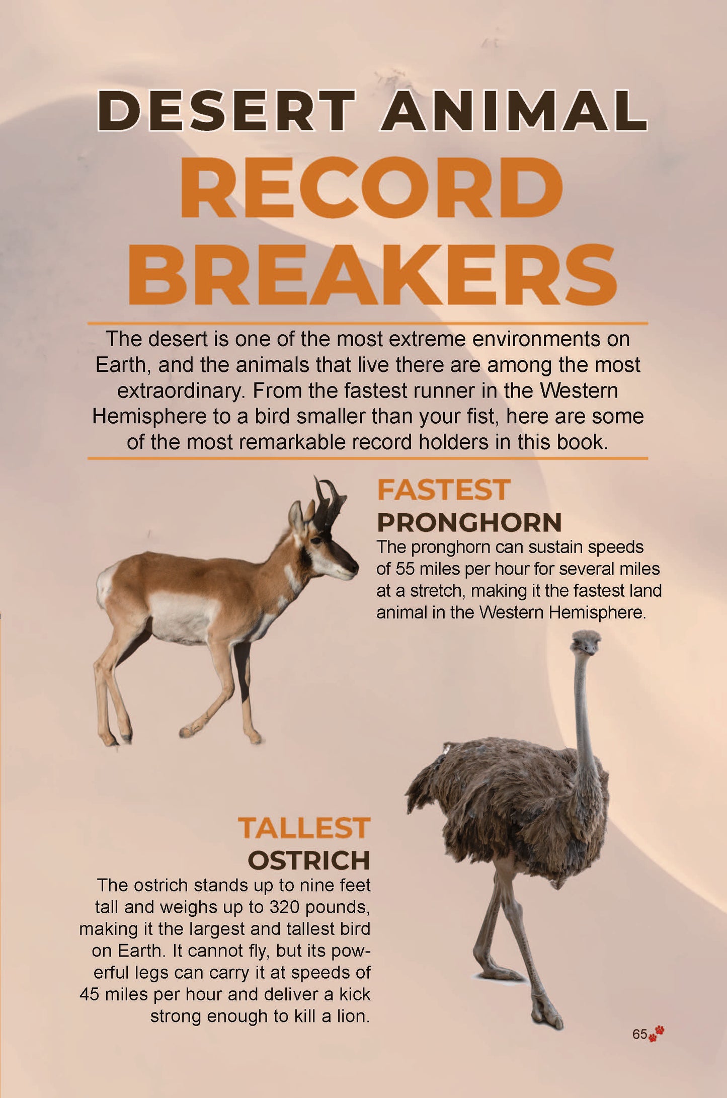50 Amazing Desert Animals: Real Photos • Incredible Facts for Kids
