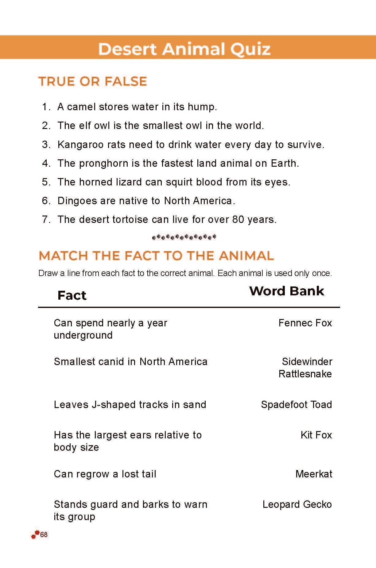 50 Amazing Desert Animals: Real Photos • Incredible Facts for Kids