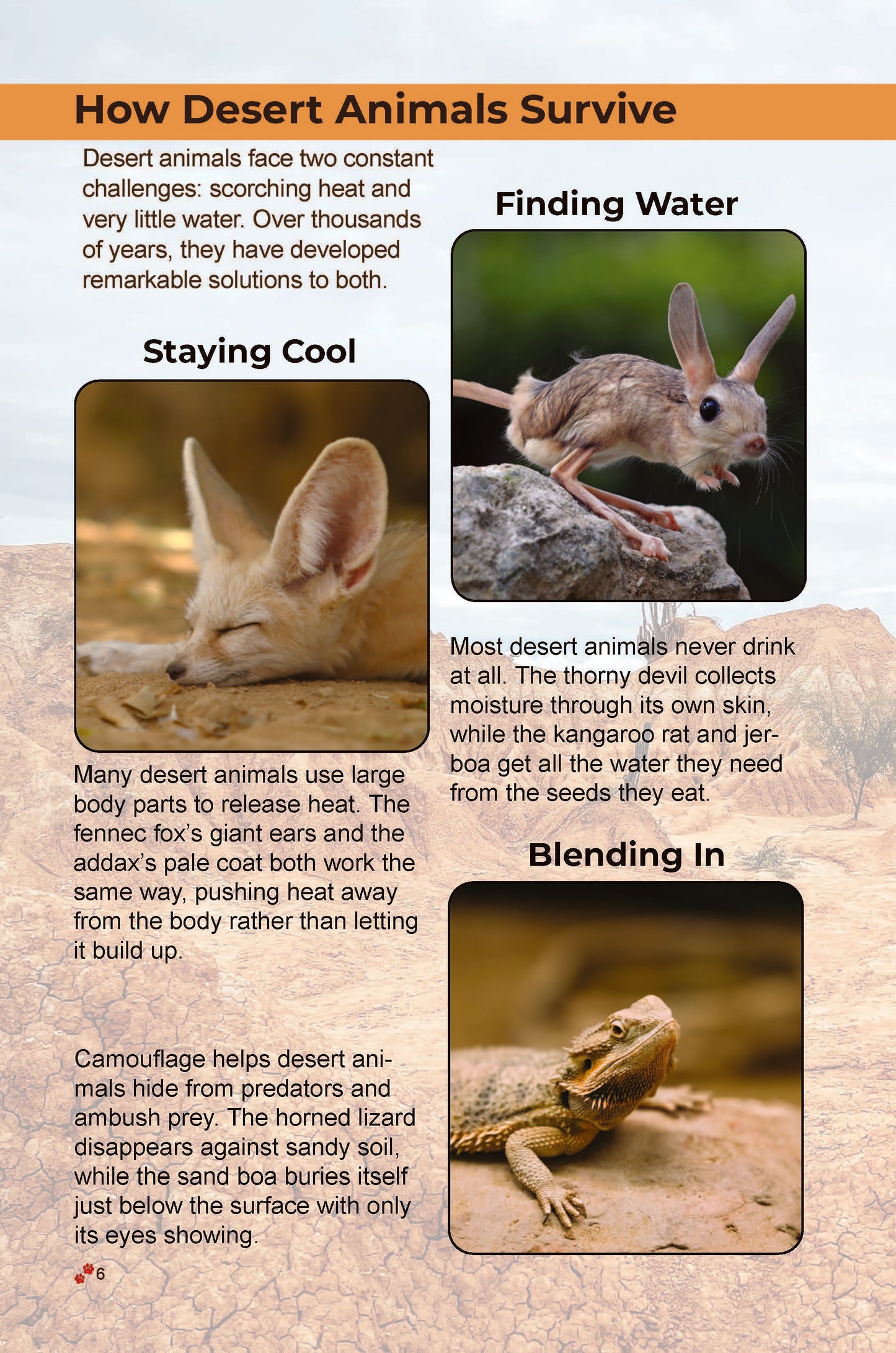 50 Amazing Desert Animals: Real Photos • Incredible Facts for Kids