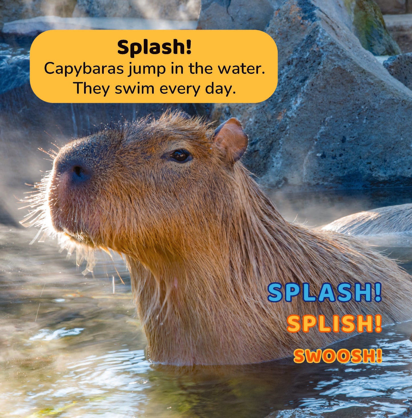 Capybara!: Fun Animal Facts for Kids with Real Photos