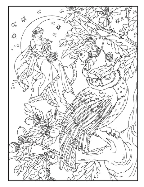 Fantasy Collection Coloring Book For Adults