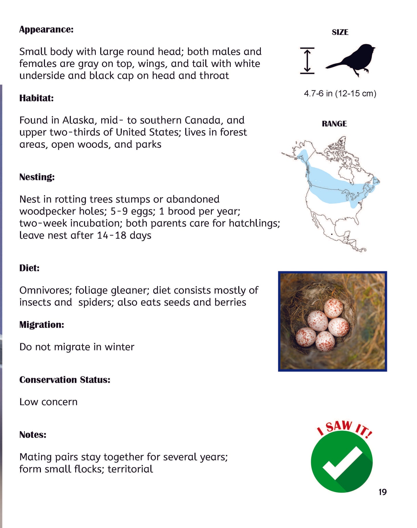 Bird Watch Book for Kids: Introduction to Bird Watching, Colorful Guide to 25 Popular Backyard Birds, and Journal Pages