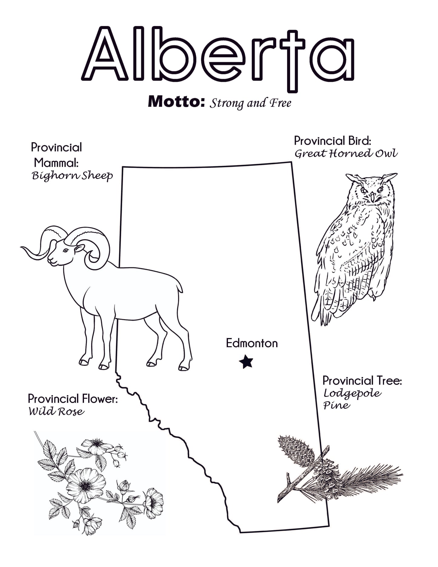 Canada Activity and Fact Book: Canadian Geography Workbook for Kids