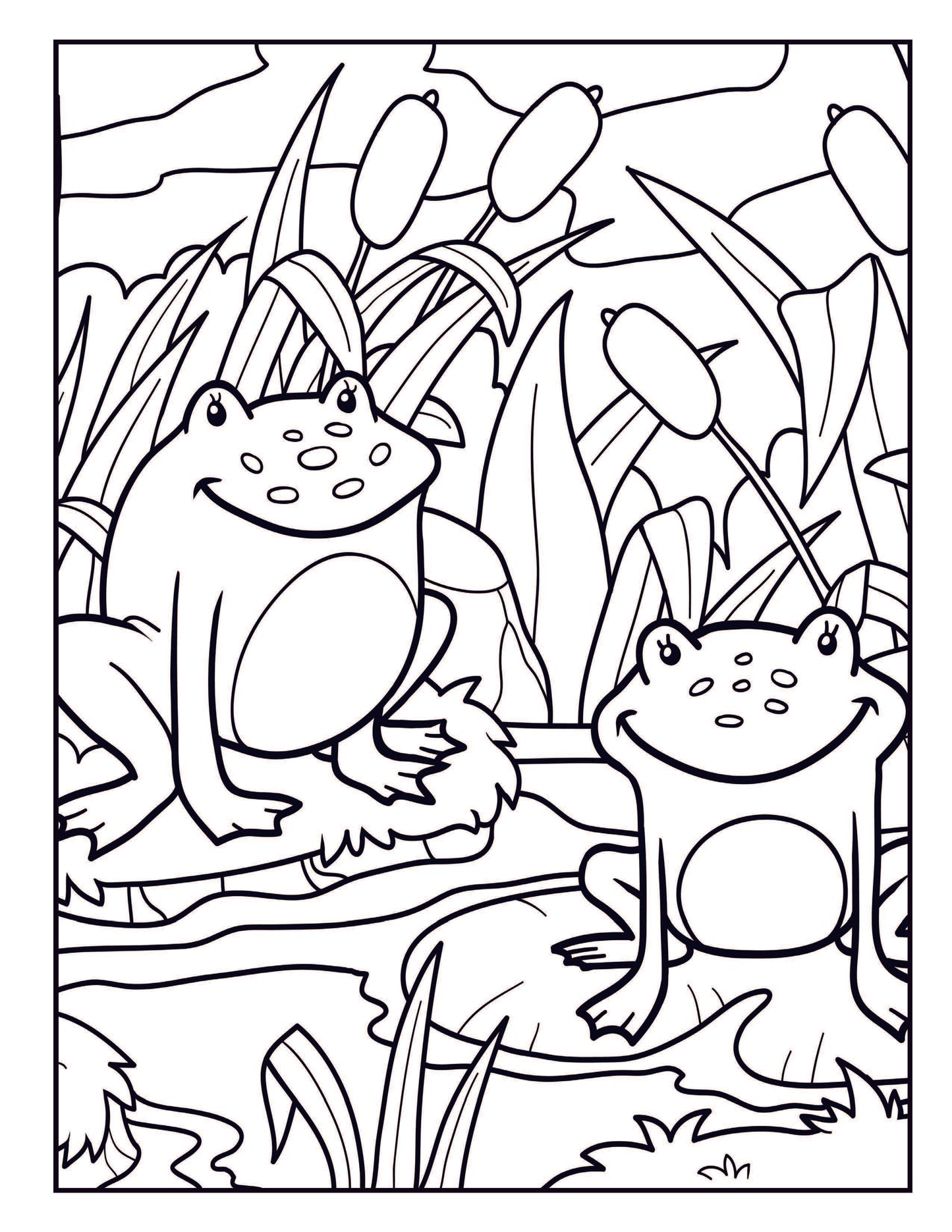 Frog Coloring Book