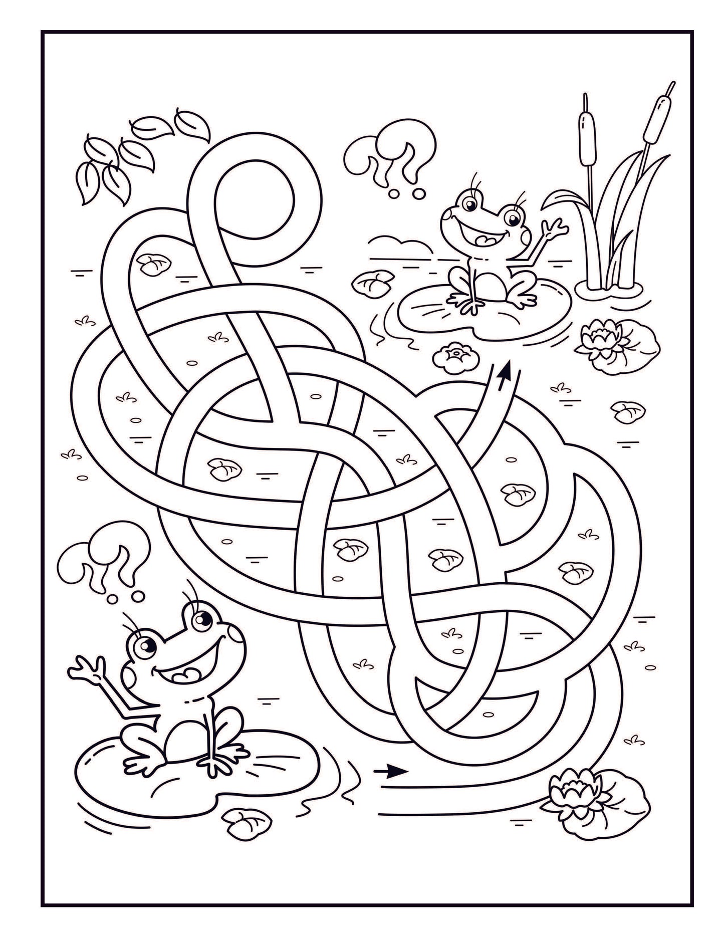 Frog Coloring Book