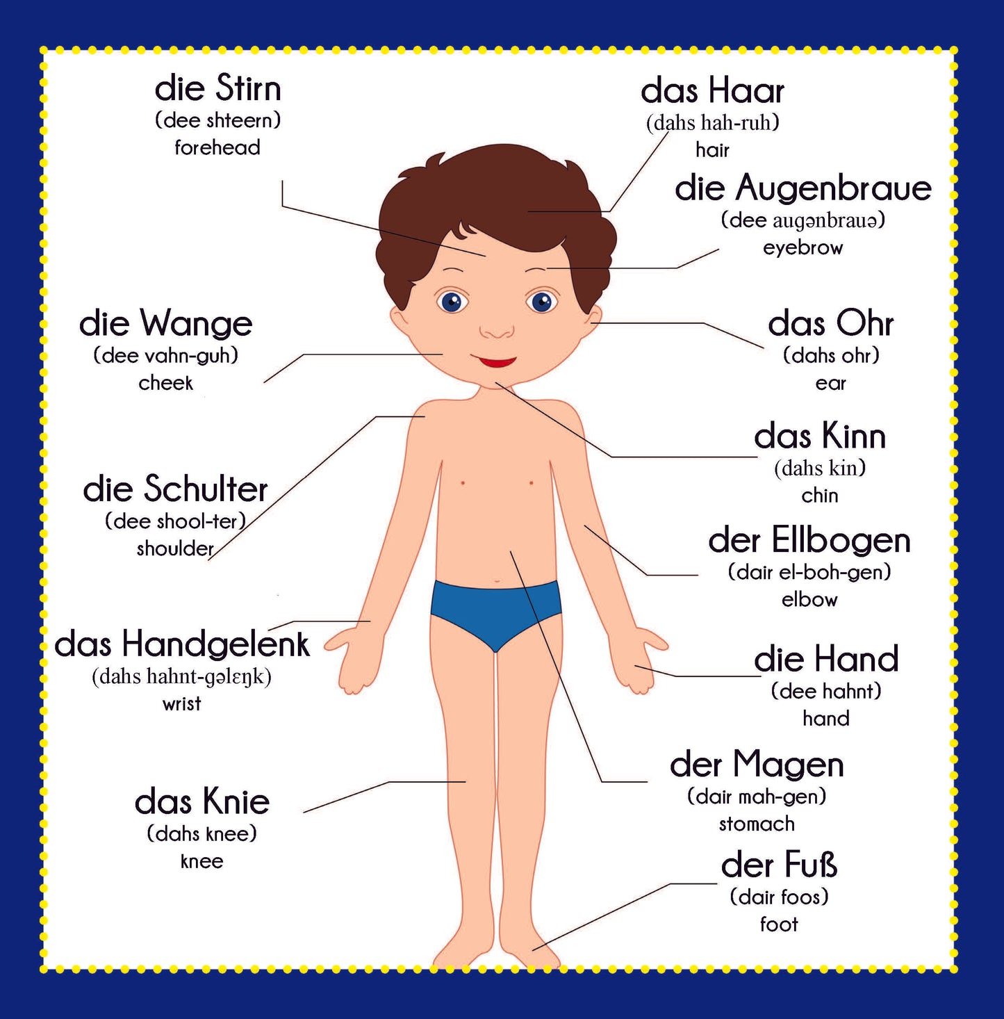 English German Picture Dictionary