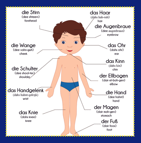 English German Picture Dictionary (Language Dictionaries for Kids)