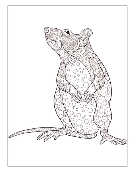 Rat Coloring Book for Adults: Includes 30 Dazzling Rat Designs to Color