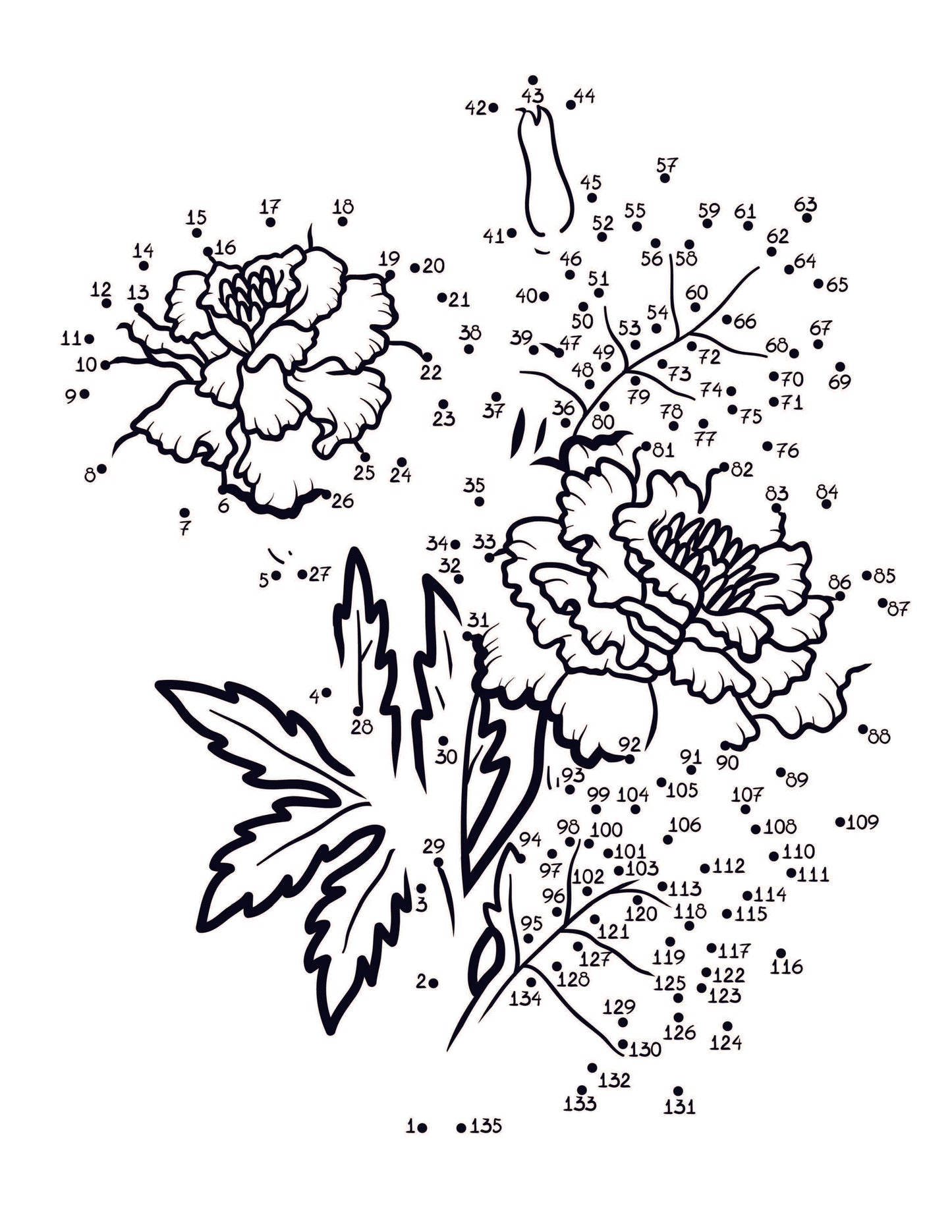 Connect the Dots Book for Kids: Challenging and Fun Dot to Dot Puzzles