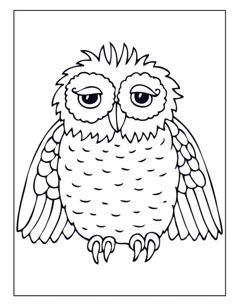 Large Print Coloring Book: Easy Animal Designs