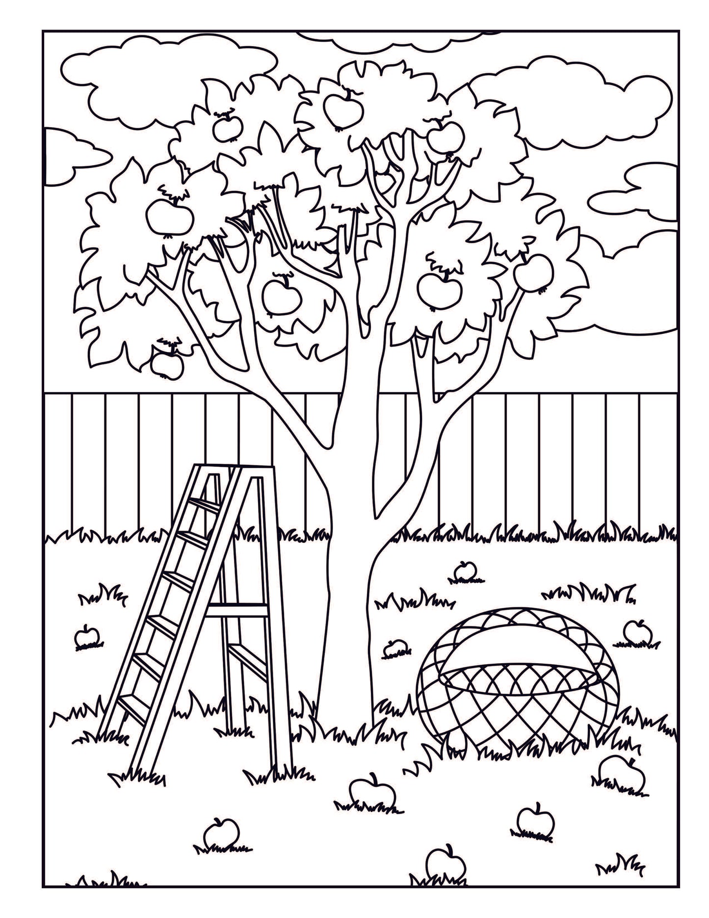 Lovely Garden Large Print Coloring Book