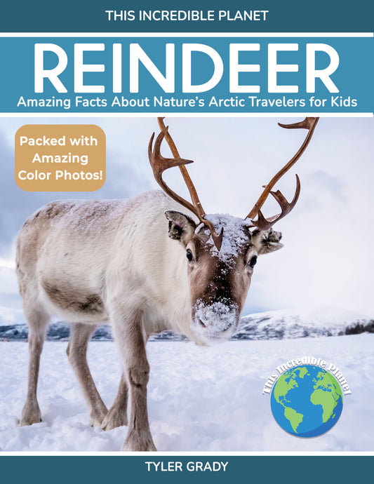 Reindeer: Amazing Facts About Nature’s Arctic Travelers for Kids (This Incredible Planet)
