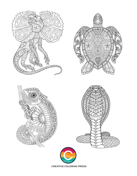 Reptiles Adult Coloring Book