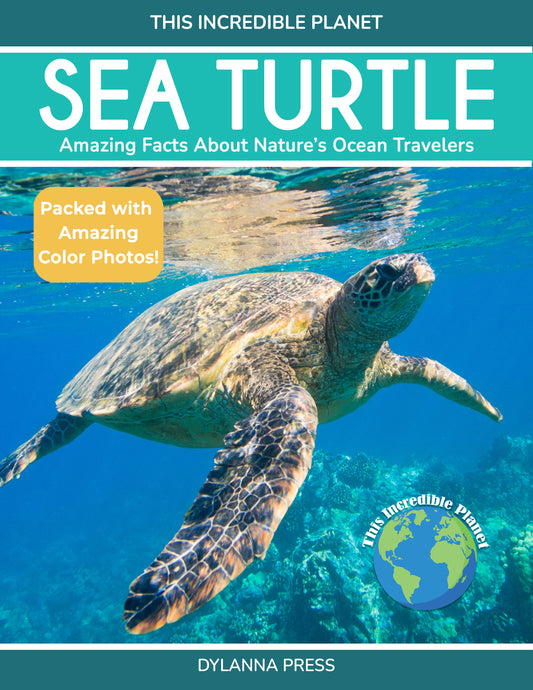 Sea Turtle: Amazing Facts about Nature's Ocean Travelers (This Incredible Planet)