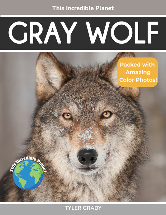 Gray Wolf: Fascinating Animal Facts for Kids (This Incredible Planet)