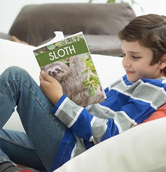 Sloth: Fascinating Animal Facts for Kids