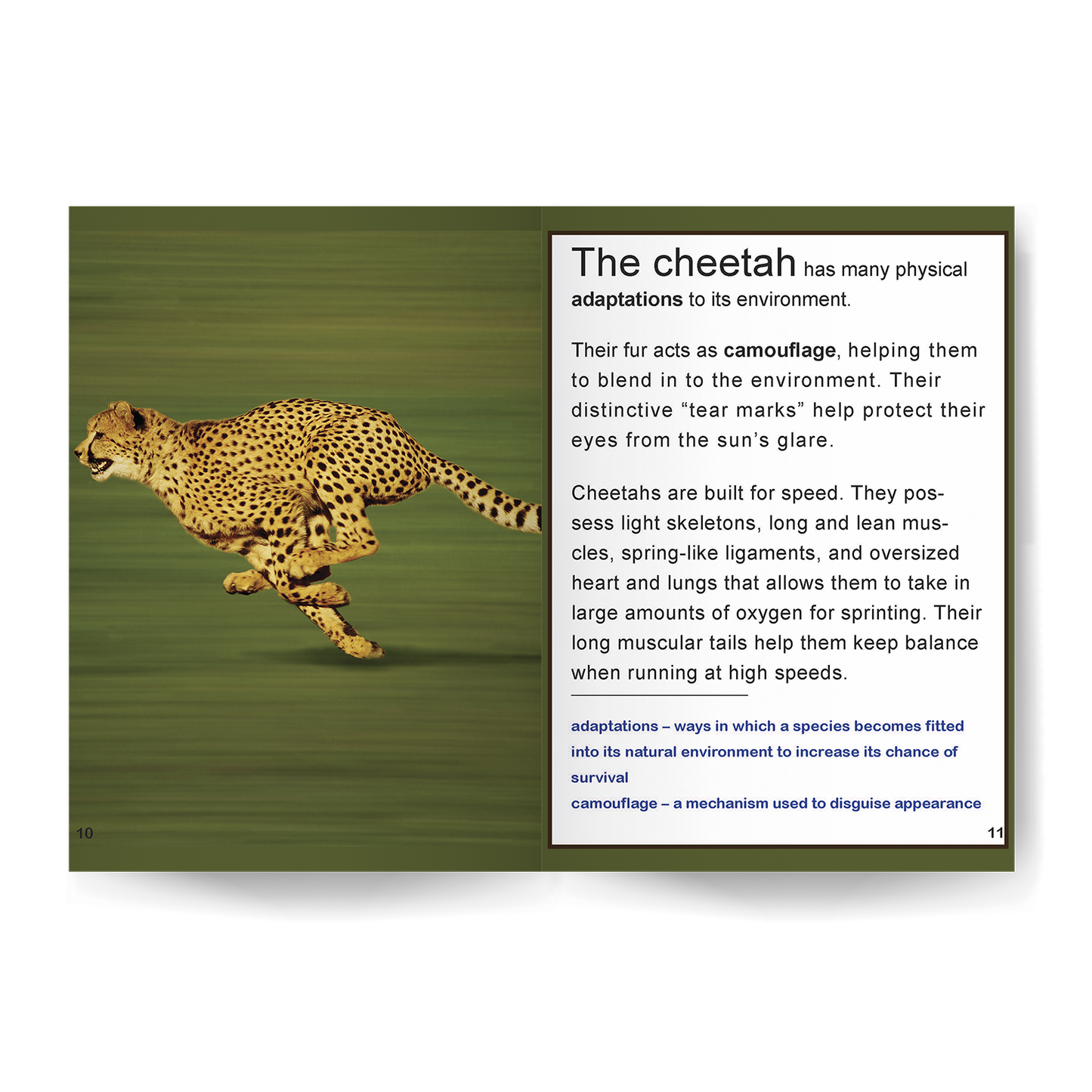 Cheetah: Fascinating Animal Facts for Kids (This Incredible Planet)