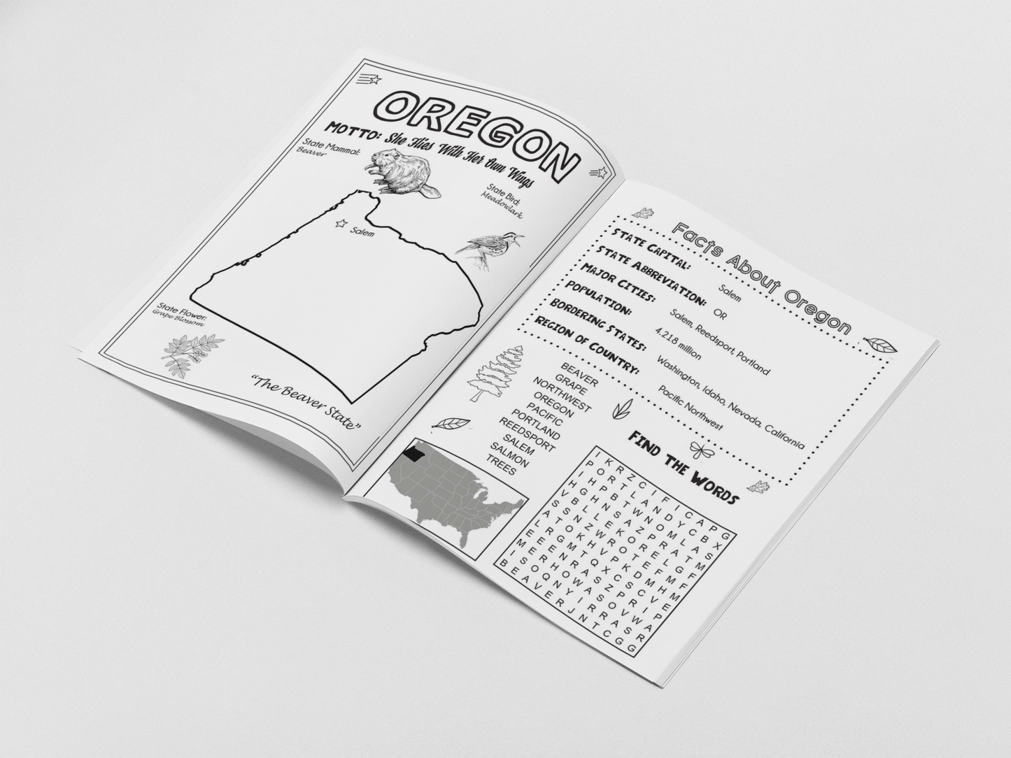 The United States Activity and Fact Book