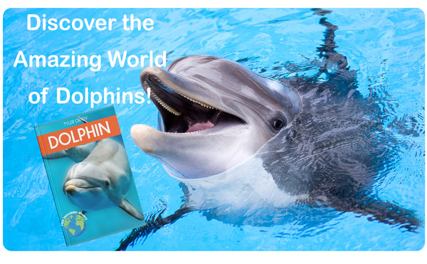 Dolphin: Fascinating Animal Facts for Kids (This Incredible Planet)